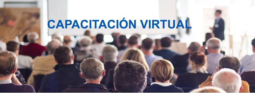 Capacitación virtual sobre el Registro de Productores y Comercializadores de Aparatos Eléctricos y Electrónico