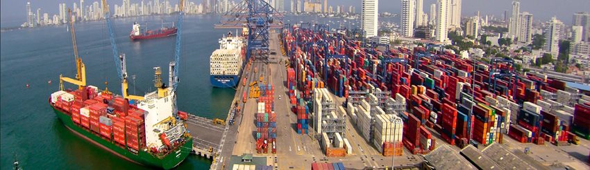 Asignación Remanentes de los Contingentes de Exportación establecidos en el Decreto 1120 de 2020