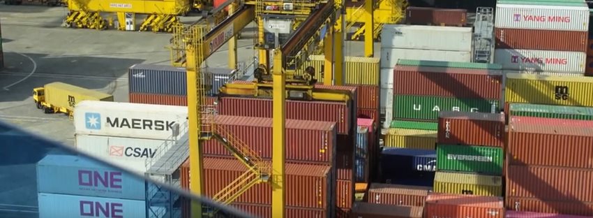 Alcance publicación 15 de enero 2021 del Contingente de Exportación TLC 2021