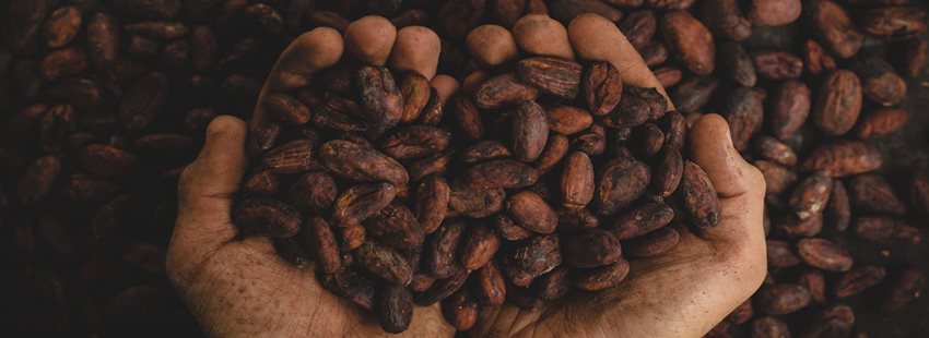 Imagen de granos de chocolate