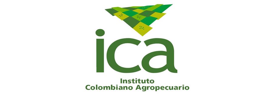 imagen del ICA