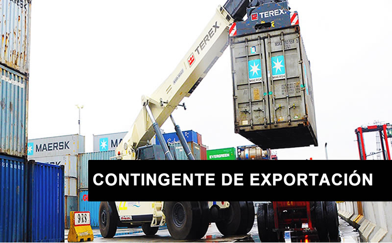 Imagen de Contingente de Exportación
