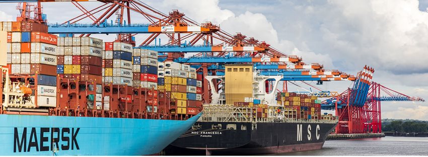 Sociedades de comercialización internacional – ampliación del plazo para presentación del informe anual de com